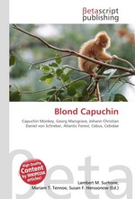 Blond Capuchin