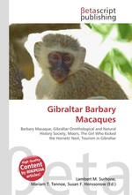 Gibraltar Barbary Macaques