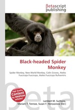 Black-headed Spider Monkey