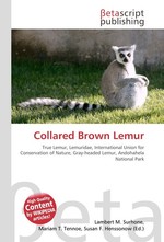 Collared Brown Lemur