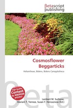 Cosmosflower Beggarticks