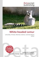 White-headed Lemur