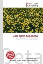 Coreopsis Gigantea