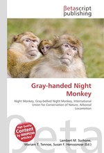 Gray-handed Night Monkey