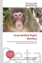 Gray-bellied Night Monkey