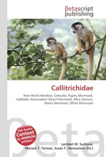 Callitrichidae