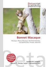 Bonnet Macaque