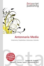 Antennaria Media