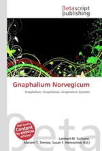 Gnaphalium Norvegicum