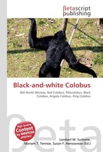 Black-and-white Colobus