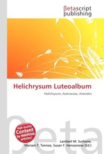 Helichrysum Luteoalbum