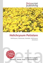 Helichrysum Petiolare