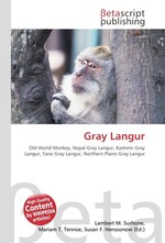 Gray Langur