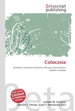 Colocasia