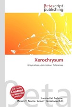 Xerochrysum