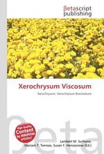 Xerochrysum Viscosum