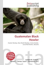 Guatemalan Black Howler