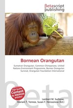 Bornean Orangutan