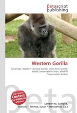 Western Gorilla