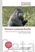 Western Lowland Gorilla