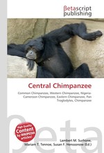 Central Chimpanzee