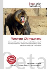 Western Chimpanzee