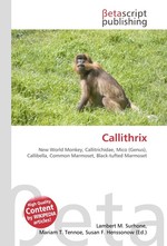 Callithrix