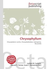 Chrysophyllum