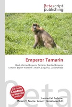 Emperor Tamarin