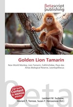 Golden Lion Tamarin