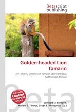 Golden-headed Lion Tamarin