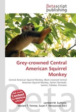 Grey-crowned Central American Squirrel Monkey