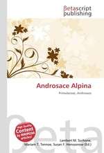 Androsace Alpina