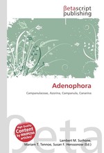 Adenophora