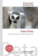 False Potto