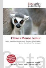 Claires Mouse Lemur