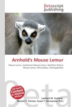 Arnholds Mouse Lemur