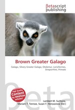 Brown Greater Galago