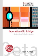 Operation Old Bridge