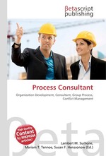 Process Consultant