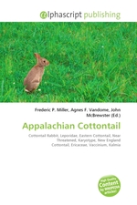 Appalachian Cottontail