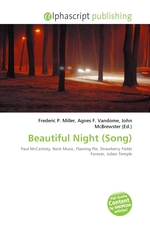 Beautiful Night (Song)