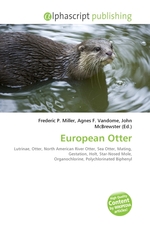 European Otter