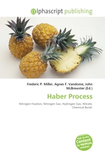 Haber Process