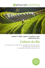 Culture du Riz