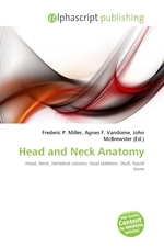 Head and Neck Anatomy