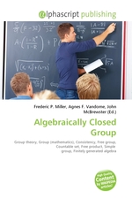 Algebraically Closed Group