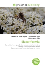 Elateriformia