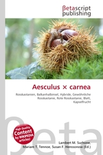 Aesculus ? carnea