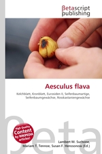 Aesculus flava